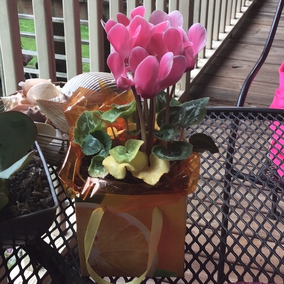 Meet your Posher, Patricia r. - Picture 1 of 1